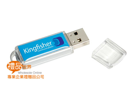 簡約長形隨身碟 USB  隨身碟