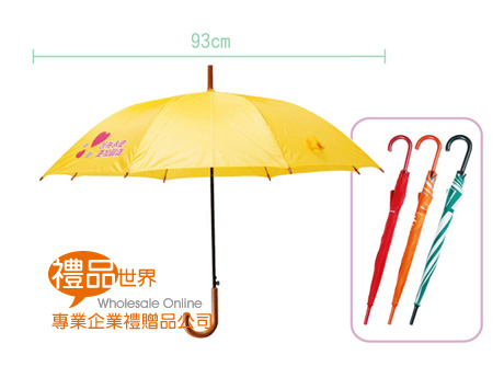 亮彩鐵骨自動傘 雨傘 晴雨傘 陽傘