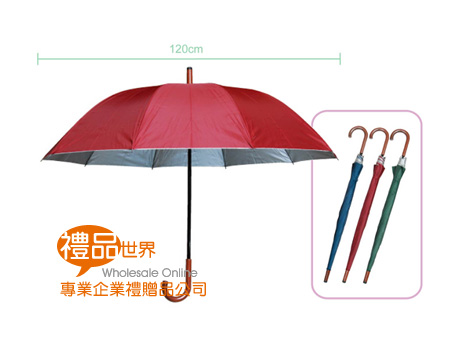  10片傘面銀膠傘 雨傘 傘具 雨天 陽傘